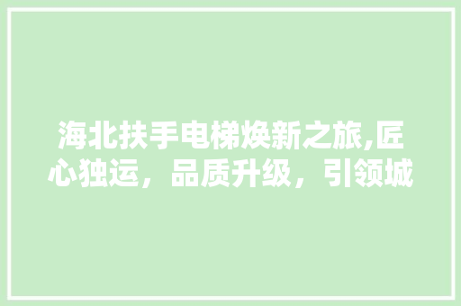 海北扶手电梯焕新之旅,匠心独运，品质升级，引领城市交通新风尚