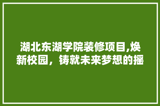 湖北东湖学院装修项目,焕新校园，铸就未来梦想的摇篮