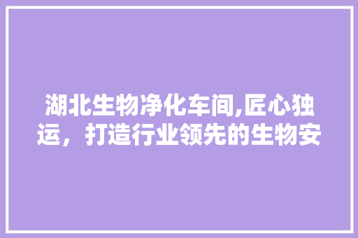 湖北生物净化车间,匠心独运，打造行业领先的生物安全堡垒