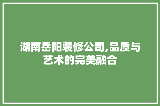 湖南岳阳装修公司,品质与艺术的完美融合