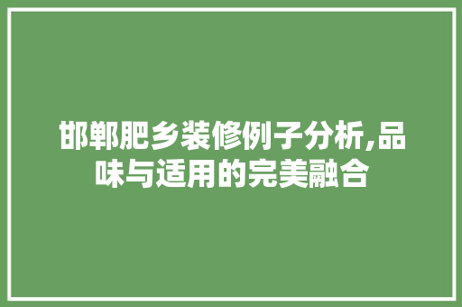 邯郸肥乡装修例子分析,品味与适用的完美融合