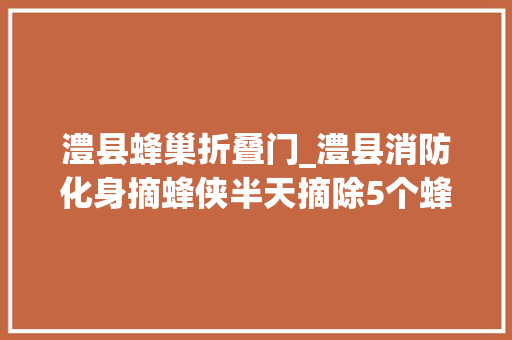 澧县蜂巢折叠门_澧县消防化身摘蜂侠半天摘除5个蜂窝