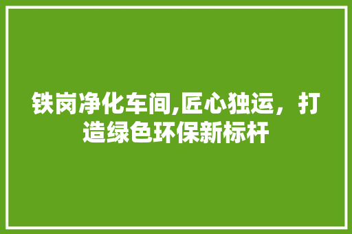 铁岗净化车间,匠心独运，打造绿色环保新标杆