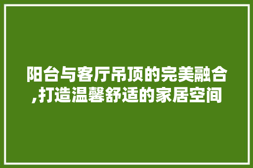 阳台与客厅吊顶的完美融合,打造温馨舒适的家居空间