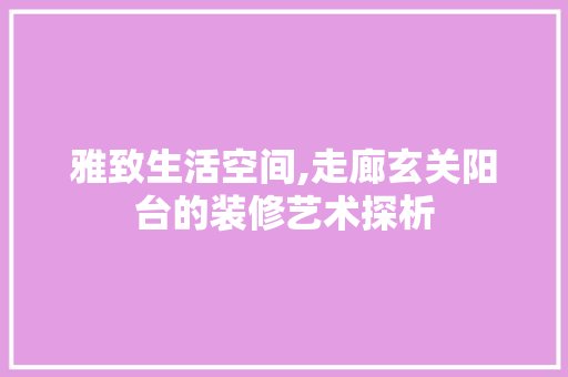 雅致生活空间,走廊玄关阳台的装修艺术探析