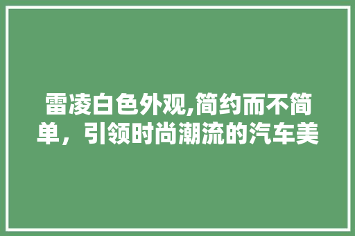 雷凌白色外观,简约而不简单，引领时尚潮流的汽车美学