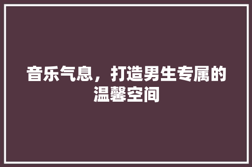 音乐气息，打造男生专属的温馨空间
