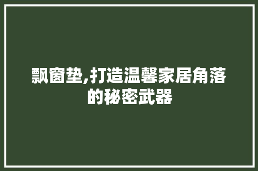 飘窗垫,打造温馨家居角落的秘密武器