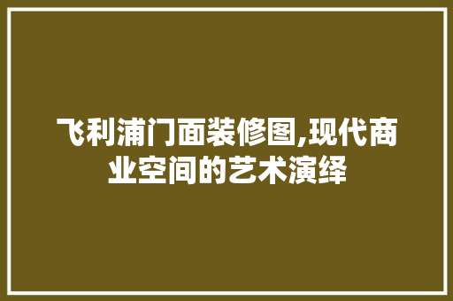 飞利浦门面装修图,现代商业空间的艺术演绎