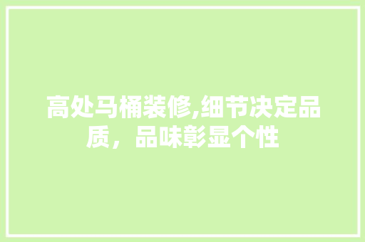 高处马桶装修,细节决定品质，品味彰显个性