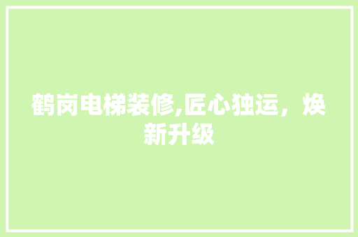 鹤岗电梯装修,匠心独运，焕新升级