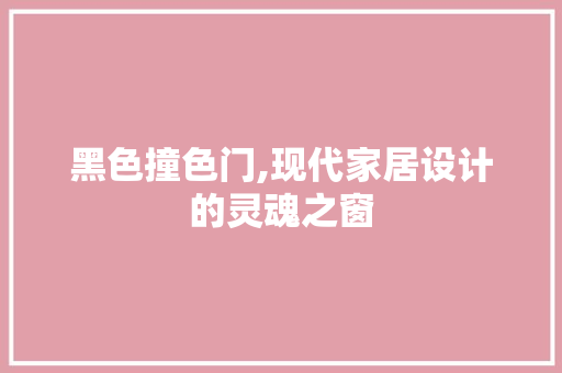 黑色撞色门,现代家居设计的灵魂之窗