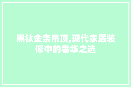 黑钛金条吊顶,现代家居装修中的奢华之选