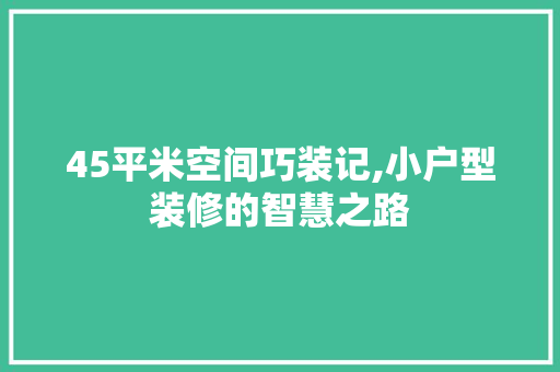 45平米空间巧装记,小户型装修的智慧之路
