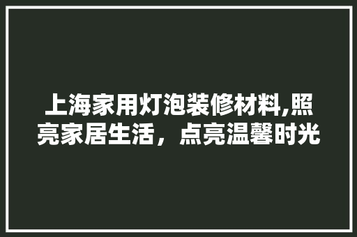 上海家用灯泡装修材料,照亮家居生活，点亮温馨时光