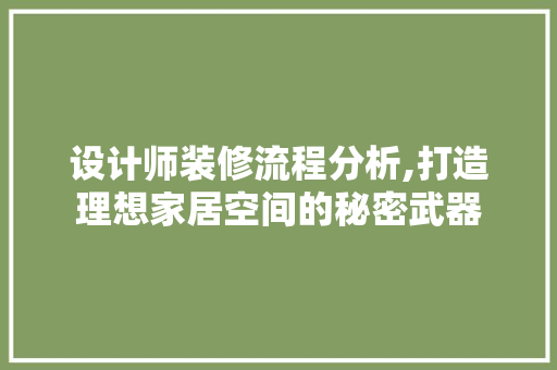 设计师装修流程分析,打造理想家居空间的秘密武器
