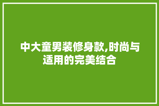 中大童男装修身款,时尚与适用的完美结合