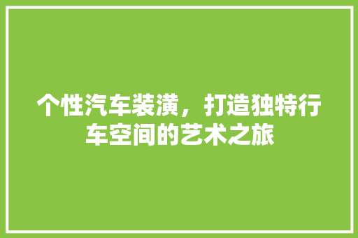 个性汽车装潢，打造独特行车空间的艺术之旅