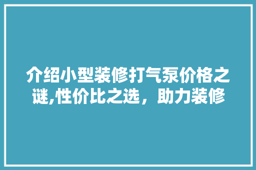介绍小型装修打气泵价格之谜,性价比之选，助力装修无忧