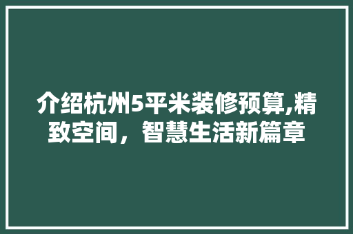 介绍杭州5平米装修预算,精致空间，智慧生活新篇章
