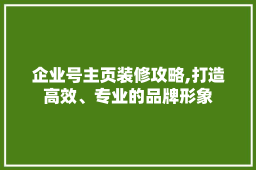 企业号主页装修攻略,打造高效、专业的品牌形象