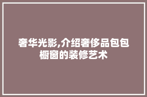 奢华光影,介绍奢侈品包包橱窗的装修艺术