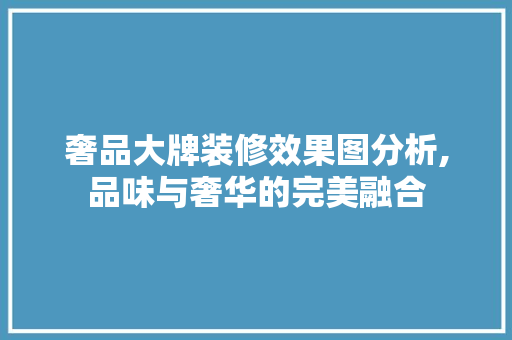 奢品大牌装修效果图分析,品味与奢华的完美融合