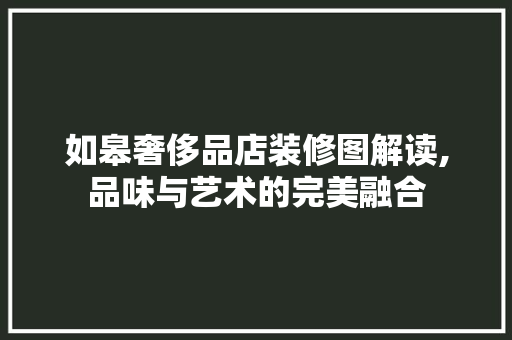 如皋奢侈品店装修图解读,品味与艺术的完美融合
