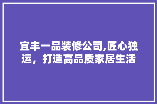 宜丰一品装修公司,匠心独运，打造高品质家居生活