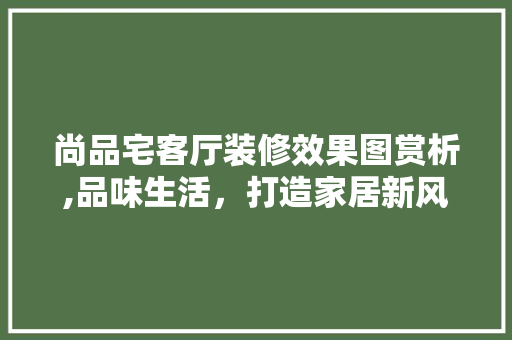尚品宅客厅装修效果图赏析,品味生活，打造家居新风尚