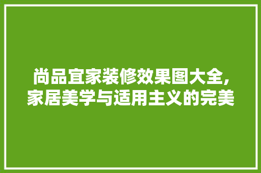 尚品宜家装修效果图大全,家居美学与适用主义的完美融合
