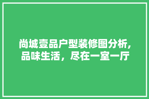 尚城壹品户型装修图分析,品味生活，尽在一室一厅
