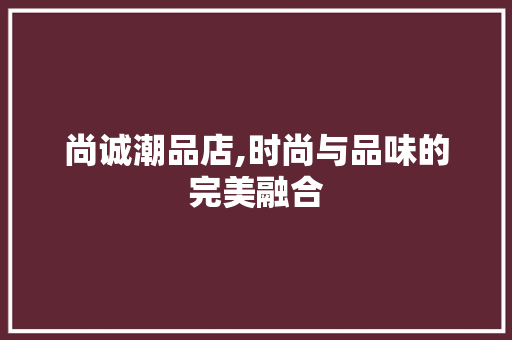 尚诚潮品店,时尚与品味的完美融合
