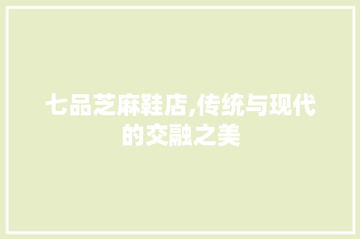 七品芝麻鞋店,传统与现代的交融之美