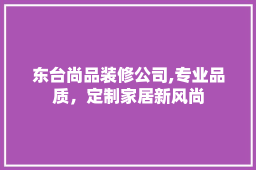 东台尚品装修公司,专业品质，定制家居新风尚