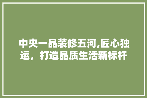中央一品装修五河,匠心独运，打造品质生活新标杆