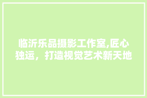 临沂乐品摄影工作室,匠心独运，打造视觉艺术新天地