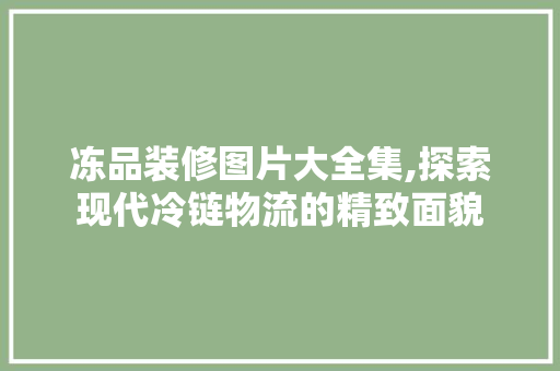 冻品装修图片大全集,探索现代冷链物流的精致面貌