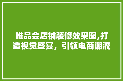 唯品会店铺装修效果图,打造视觉盛宴，引领电商潮流