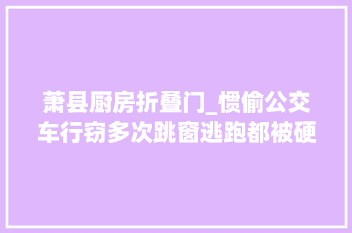 萧县厨房折叠门_惯偷公交车行窃多次跳窗逃跑都被硬拽回来