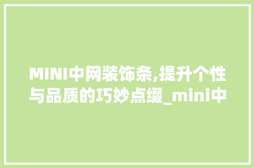 MINI中网装饰条,提升个性与品质的巧妙点缀_mini中网装饰条