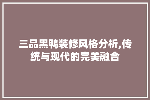 三品黑鸭装修风格分析,传统与现代的完美融合