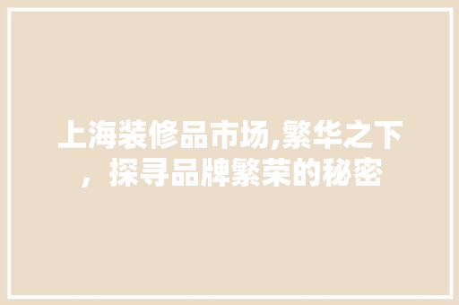 上海装修品市场,繁华之下，探寻品牌繁荣的秘密