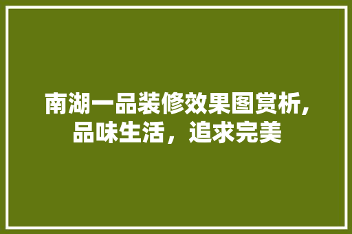 南湖一品装修效果图赏析,品味生活，追求完美