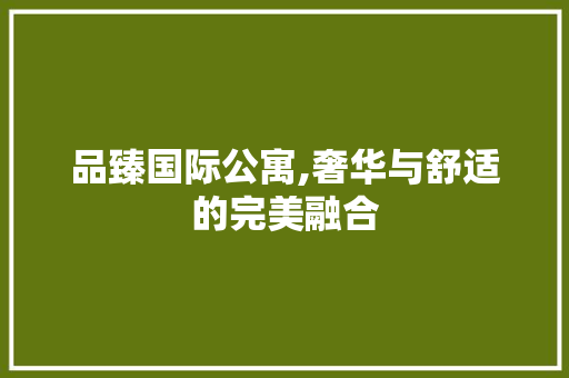 品臻国际公寓,奢华与舒适的完美融合