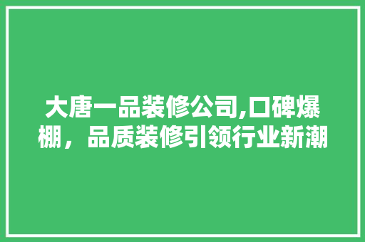 大唐一品装修公司,口碑爆棚，品质装修引领行业新潮流
