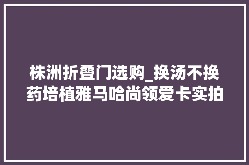 株洲折叠门选购_换汤不换药培植雅马哈尚领爱卡实拍