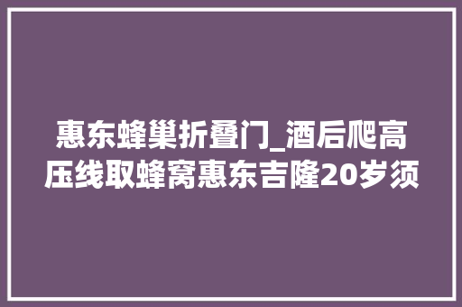 惠东蜂巢折叠门_酒后爬高压线取蜂窝惠东吉隆20岁须眉双手被烧伤