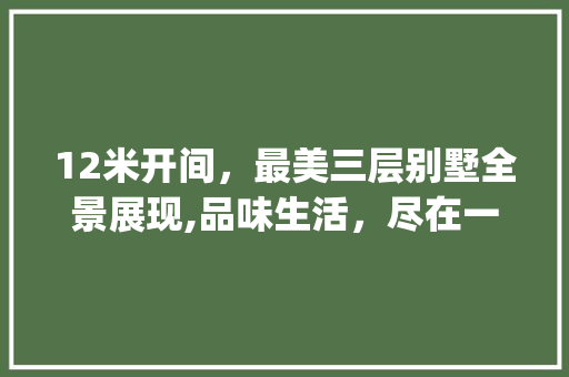 12米开间，最美三层别墅全景展现,品味生活，尽在一栋别墅之中_最美三层别墅图片大全面宽12米