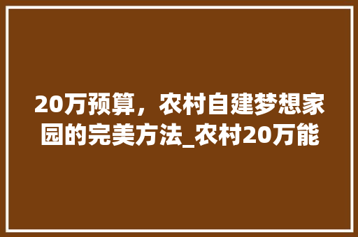 20万预算，农村自建梦想家园的完美方法_农村20万能建怎样的房子